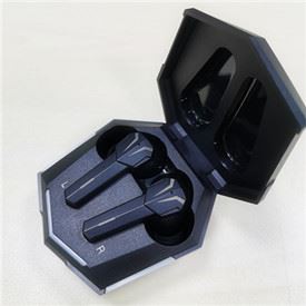 Earbuds With Charging Case