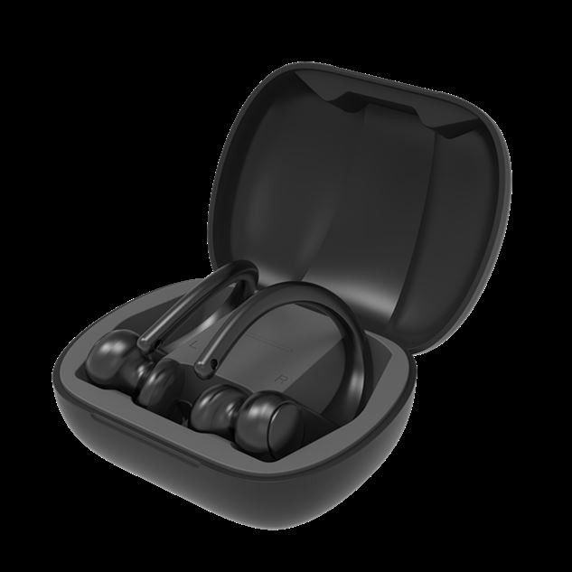 IPX5 Waterproof Earhook Earbuds