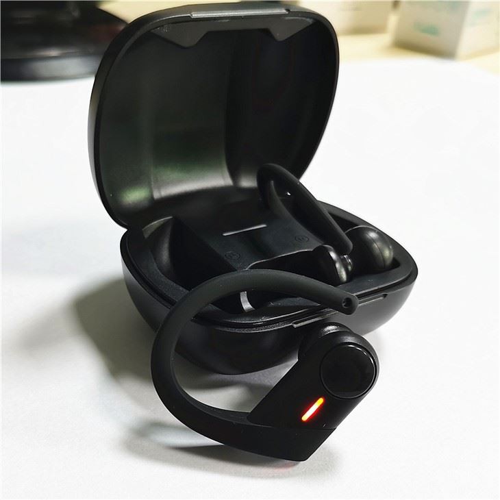 IPX5 Waterproof Earhook Earbuds