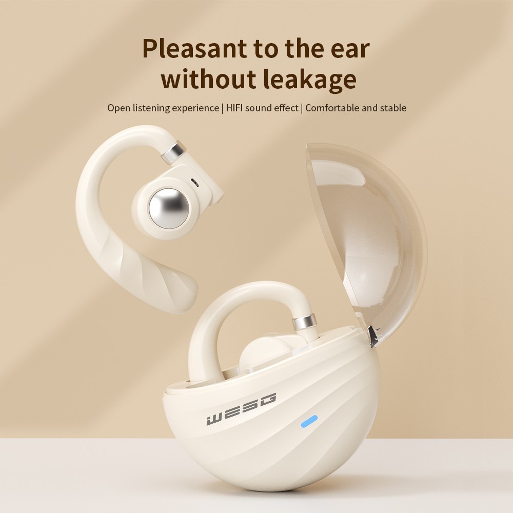 wireless earphones
